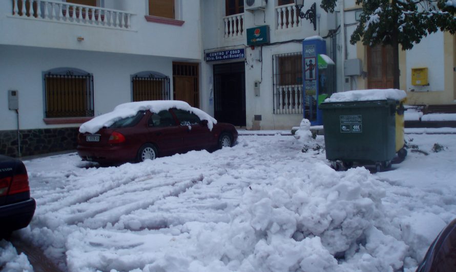 Nevada de enero 2010