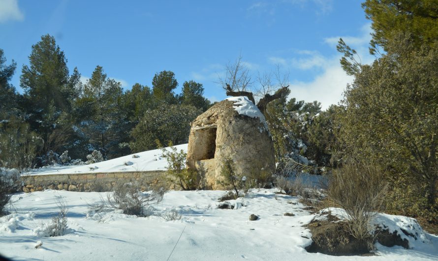 Sierra de Somontín nevada en 2015